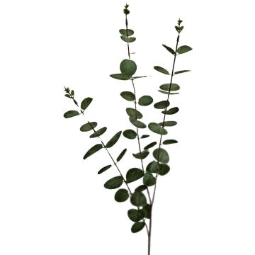 Rama artificial de eucalipto ERINDALS, verde-gris, 90 cm
