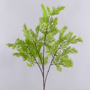 Rama decorativa de tuya BIRLAF, verde-amarillo, 85 cm Rama decorativa de tuya BIRLAF, verde-amarillo, 85 cm