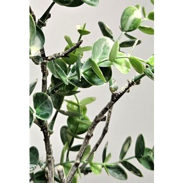 Rama artificial de eucalipto NEKFAR, verde grisáceo, 60 cm