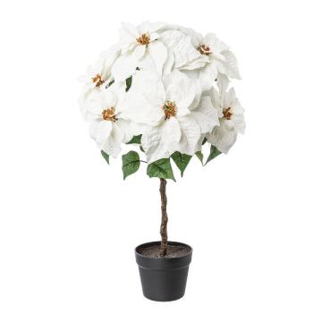 Estrella de Navidad de terciopelo DRENMA, maceta decorativa, blanca, 75 cm
