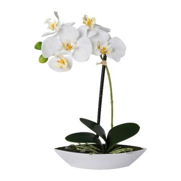 Orquídea Phalaenopsis artificial ORWAN, bandeja decorativa, raíces, blanco, 30 cm