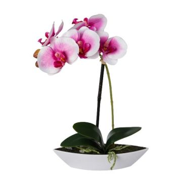 Orquídea Phalaenopsis artificial ORWAN, bandeja decorativa, raíces, blanco-lila, 30 cm