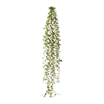 Colgador artificial Mühlenbeckia ZEHANL, varilla, verde, 70 cm