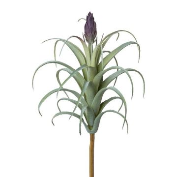 Suculenta artificial Tillandsia stricta KROST, varilla, flor, verde-morada, 23 cm