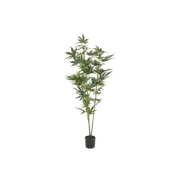 Planta de cáñamo artificial ZOJA, verde, 120 cm