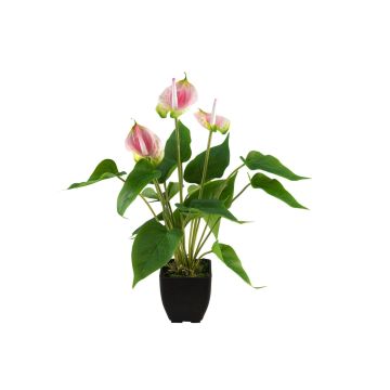 Anturio artificial ISABELITA en maceta, rosa-blanco-verde, 40 cm