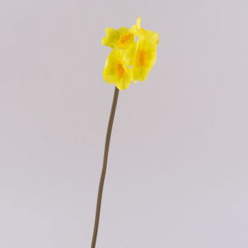 Narciso artificial SEPUNY, amarillo claro, 40 cm Narciso artificial SEPUNY, amarillo claro, 40 cm
