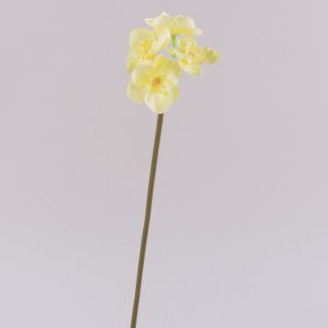 Narciso artificial SEPUNY, blanco y amarillo, 40 cm Narciso artificial SEPUNY, blanco y amarillo, 40 cm