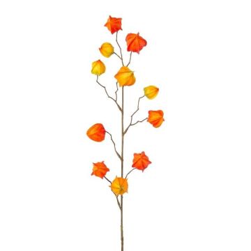 Rama decorativa de physalis LISOP con frutos, naranja-amarillo, 80 cm Rama decorativa de physalis LISOP con frutos, naranja-amarillo, 80 cm