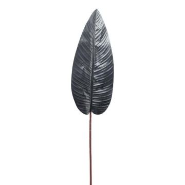 Hoja artificial de estrelitzia BATRA, negra, 100 cm Hoja artificial de estrelitzia BATRA, negra, 100 cm