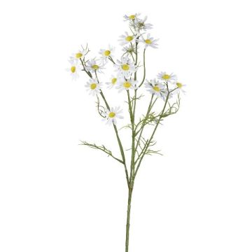 Rama decorativa de manzanilla WISOP, blanco, 75 cm
