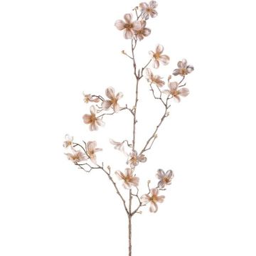 Rama decorativa de cornejo HISOP, beige, 85cm Rama decorativa de cornejo HISOP, beige, 85cm