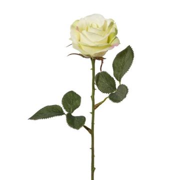 Flor decorativa rosa CESOPY, verde crema, 35 cm