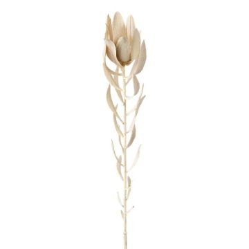 Flor decorativa Protea LAWARE, crema, 75 cm Flor decorativa Protea LAWARE, crema, 75 cm