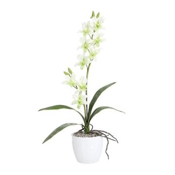 Arte Dendrobium Sonia Orquídea NELTI, maceta de cerámica, raíces, verde claro, 60cm