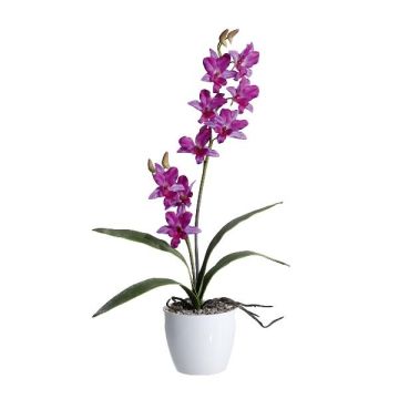 Arte Dendrobium Sonia Orquídea NELTI, maceta de cerámica, raíces, lila, 60cm