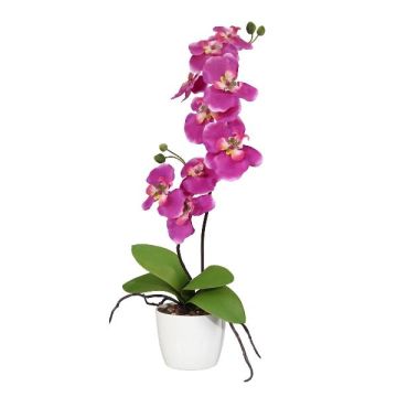Flor decorativa Phalaenopsis Orquídea MORLEK, maceta de cerámica, raíces, rosa, 60 cm