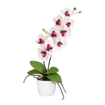 Flor decorativa Phalaenopsis MORLEK, maceta de cerámica, raíces, blanco-lila, 60 cm