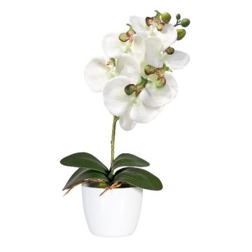 Flor decorativa Phalaenopsis DRINTOR, maceta de cerámica, raíces, blanca-verde, 40cm Flor decorativa Phalaenopsis DRINTOR, maceta de cerámica, raíces, blanca-verde, 40cm