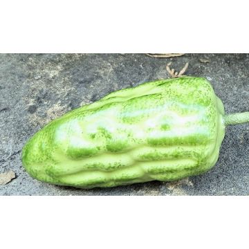 Fruta decorativa cacao FORDIHAN, verde, 13 cm
