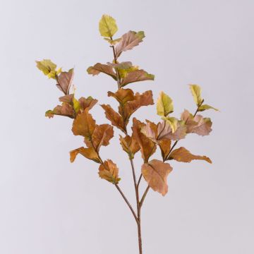 Rama artificial de haya DURSIK, verde-violeta, 60 cm Rama artificial de haya DURSIK, verde-violeta, 60 cm