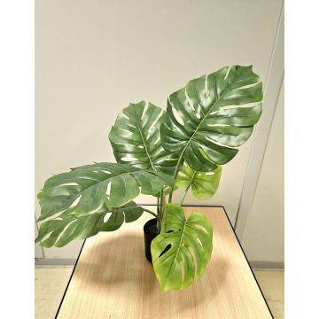 Planta artificial filodendro monstera deliciosa CUNKYN en maceta decorativa, 60 cm Planta artificial filodendro monstera deliciosa CUNKYN en maceta decorativa, 60 cm