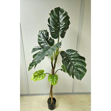 Planta artificial Philodendron monstera deliciosa CUNKYN en maceta decorativa, 170 cm Planta artificial Philodendron monstera deliciosa CUNKYN en maceta decorativa, 170 cm