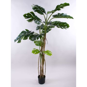 Planta artificial Philodendron monstera deliciosa CUNKYN en maceta decorativa, 180cm