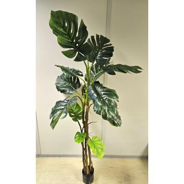 Planta artificial Philodendron monstera deliciosa CUNKYN en maceta decorativa, 180 cm Planta artificial Philodendron monstera deliciosa CUNKYN en maceta decorativa, 180 cm