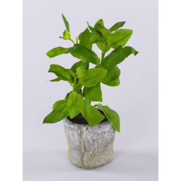 Planta artificial albahaca POLINDA en maceta decorativa, verde, 26 cm