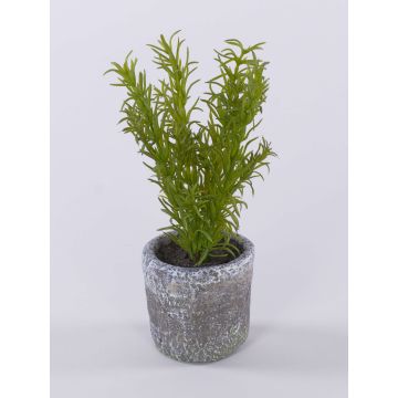 Planta artificial romero POLINDA en maceta decorativa, verde, 26 cm Planta artificial romero POLINDA en maceta decorativa, verde, 26 cm