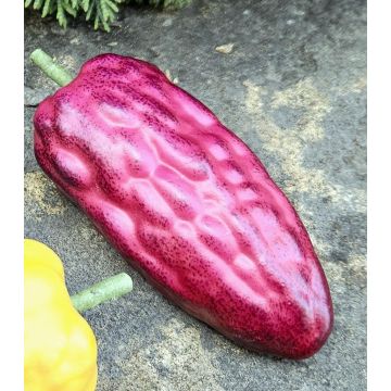 Fruta decorativa FORDIHAN, violeta, 13 cm