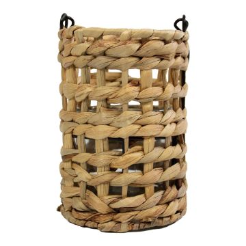 Linterna de fibra natural RICHARDA, jacinto de agua, asa, inserto de cristal, marrón, 17 cm, Ø 12 cm