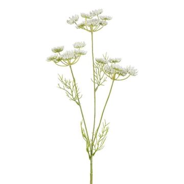 Rama artificial de zanahoria silvestre KRAHEN, blanca, 50 cm