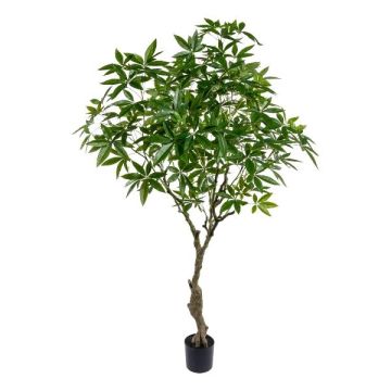 Árbol artificial Pachira MUMBY, tronco artificial, 220 cm