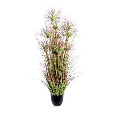 Hierba decorativa DARSA en maceta decorativa, verde y rojo, 125 cm