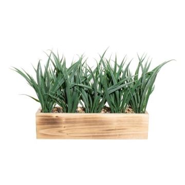 Hierba decorativa WENMAL en caja de madera, verde, 30 x 9 x 23 cm