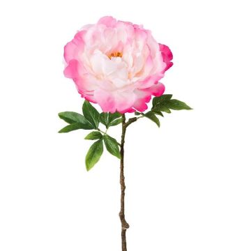 Flor artificial de peonía GLOUT, rosa, 65 cm