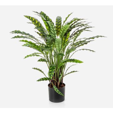 Planta artificial Calathea Rufibarba ADELFRIEDE, verde, 85 cm