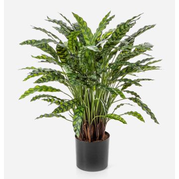 Planta artificial Calathea Rufibarba ADELFRIEDE, verde, 90 cm