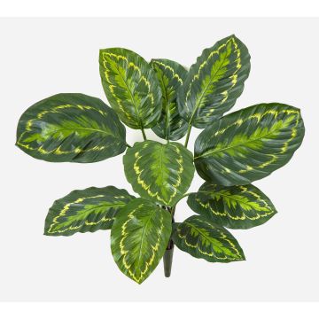 Planta artificial Calathea Medallón FLEURETTA, varilla, verde-amarillo, 50 cm