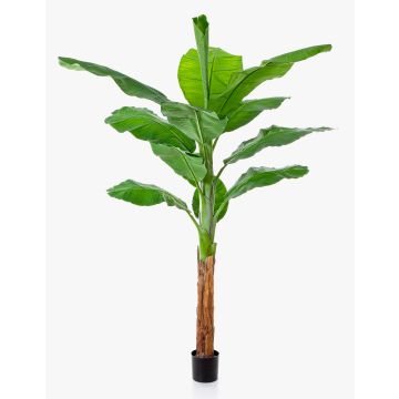 Árbol de plátano artificial OMERA, 200 cm