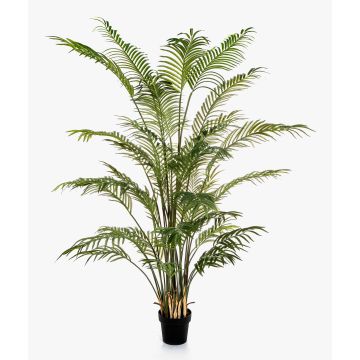 Palmera areca artificial LUVA, 205 cm