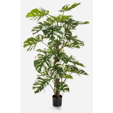 Planta artificial Filodendro Monstera Deliciosa Variegata MEBSUTA, verde y blanco, 160 cm