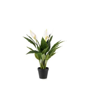 Planta artificial de una hoja RANIESO, maceta decorativa, flores, blanca, 55 cm
