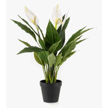 Planta artificial de una hoja RANIESO, maceta decorativa, flores, blanca, 55 cm Planta artificial de una hoja RANIESO, maceta decorativa, flores, blanca, 55 cm