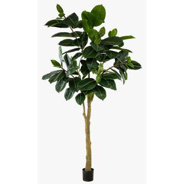 Árbol de caucho artificial BAKWEN, tronco artificial, verde, 300 cm