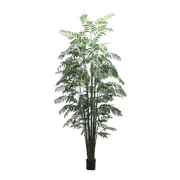 Palmera de montaña artificial BAKNEL, 300 cm