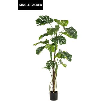 Planta artificial Philodendron monstera deliciosa TANIESO, tronco artificial, raíces aéreas, 180 cm