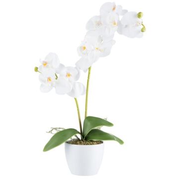 Orquídea Phalaenopsis artificial KRUZBER, maceta de cerámica, raíces, blanca, 55 cm